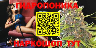 трава Кингисепп