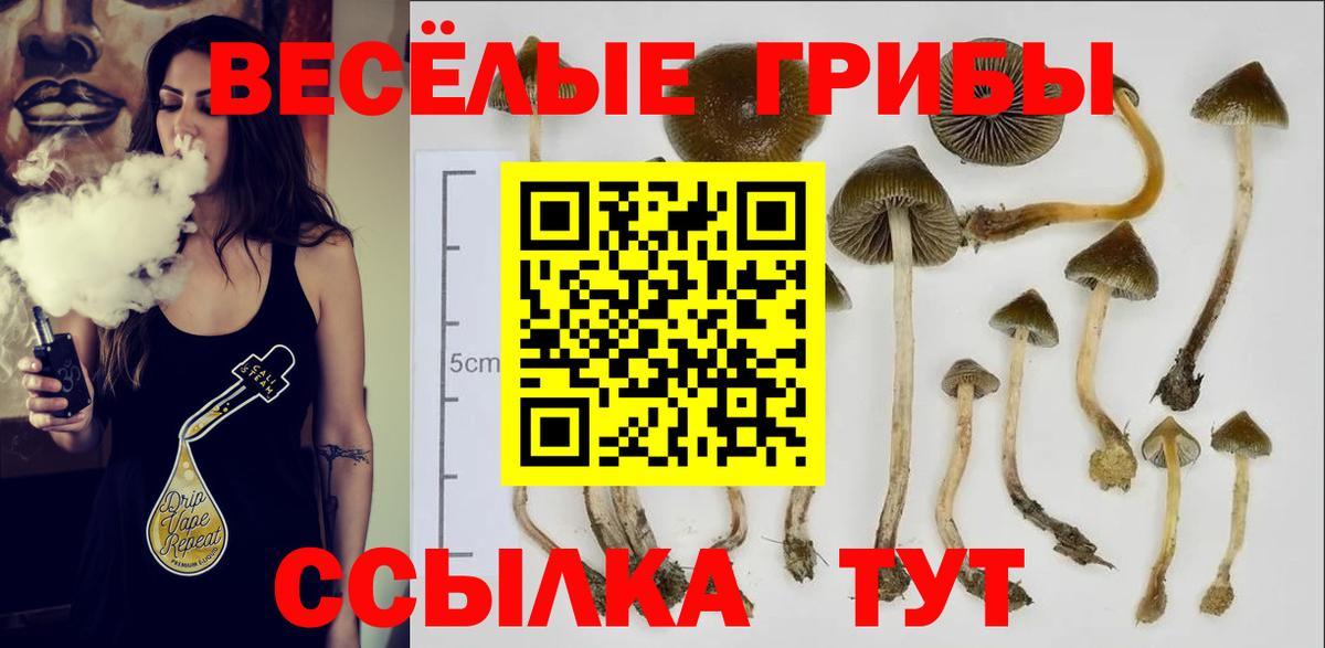 Галлюциногенные грибы Psilocybine cubensis  Вход с VPN  Прокопьевск  Псилоцибиновые грибы Psilocybe 